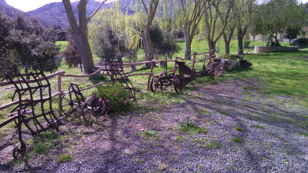 Agriturismo Cugumia Thiesi Екстер'єр фото