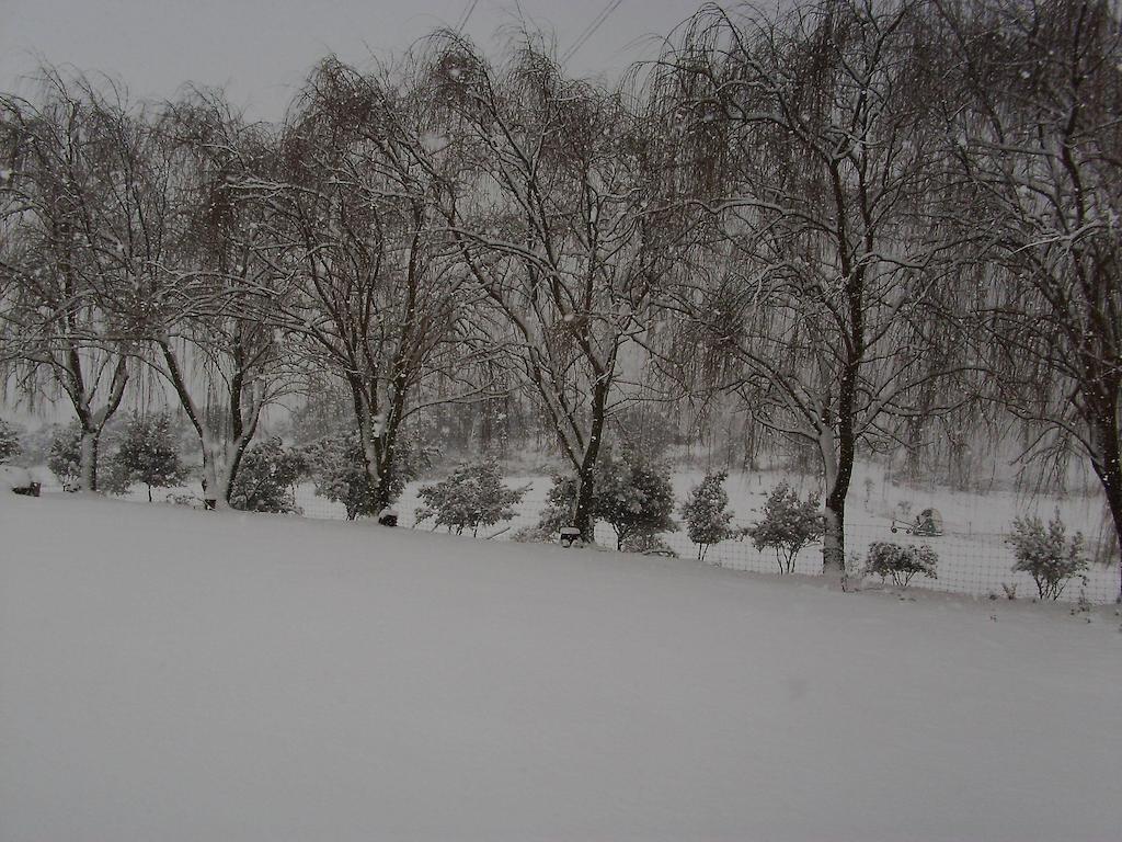 Agriturismo Cugumia Thiesi Екстер'єр фото