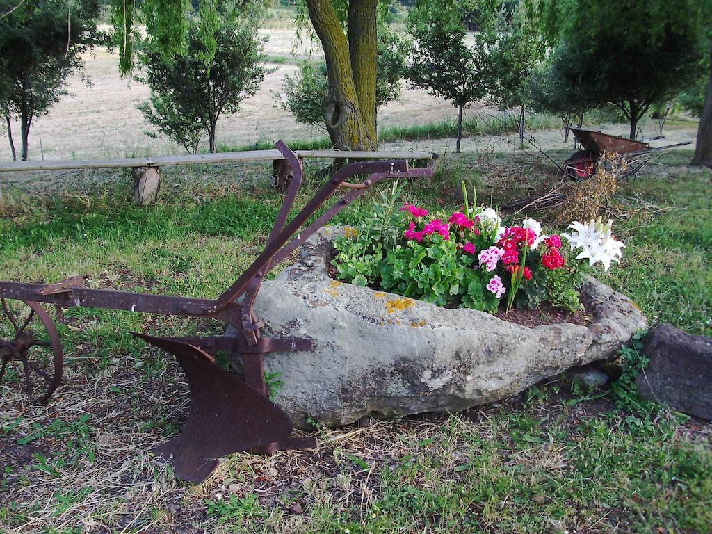 Agriturismo Cugumia Thiesi Екстер'єр фото