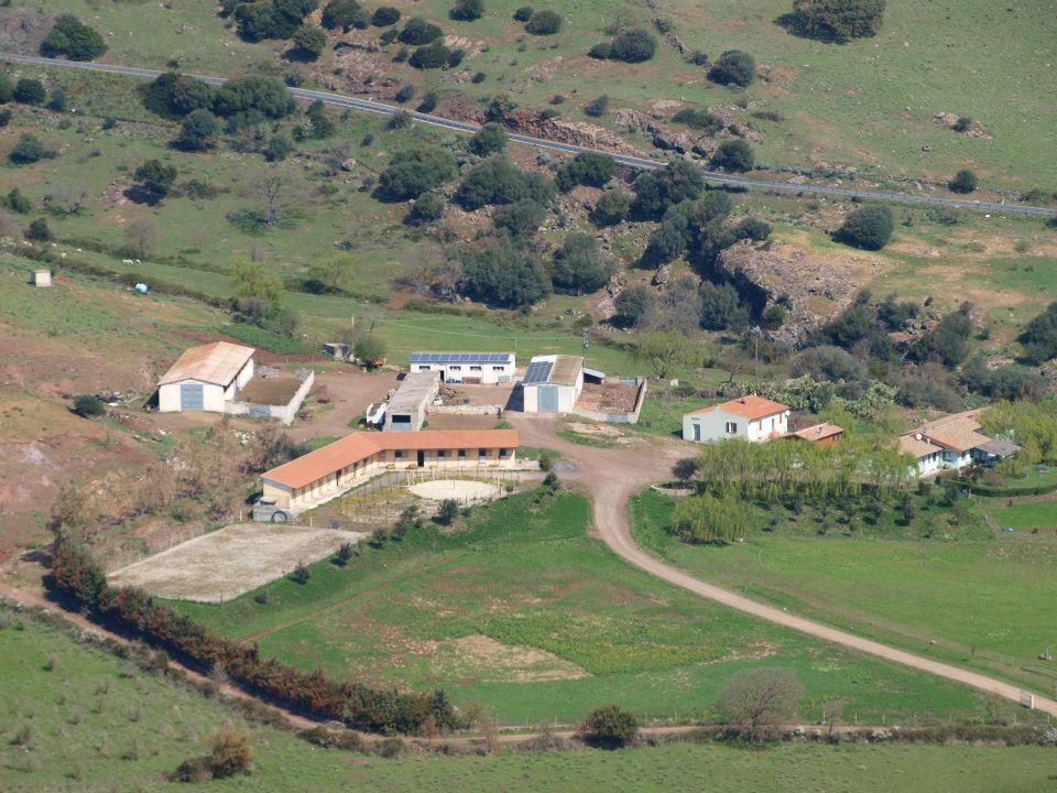 Agriturismo Cugumia Thiesi Екстер'єр фото
